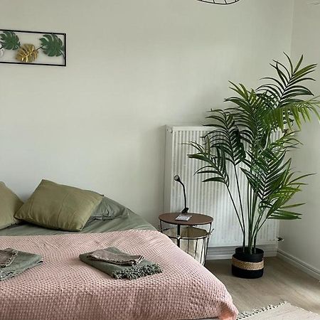 Studio T A 5Mn Euro Airport Avec Terrasse Saint-Louis  Exterior foto