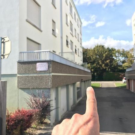 Studio T A 5Mn Euro Airport Avec Terrasse Saint-Louis  Exterior foto