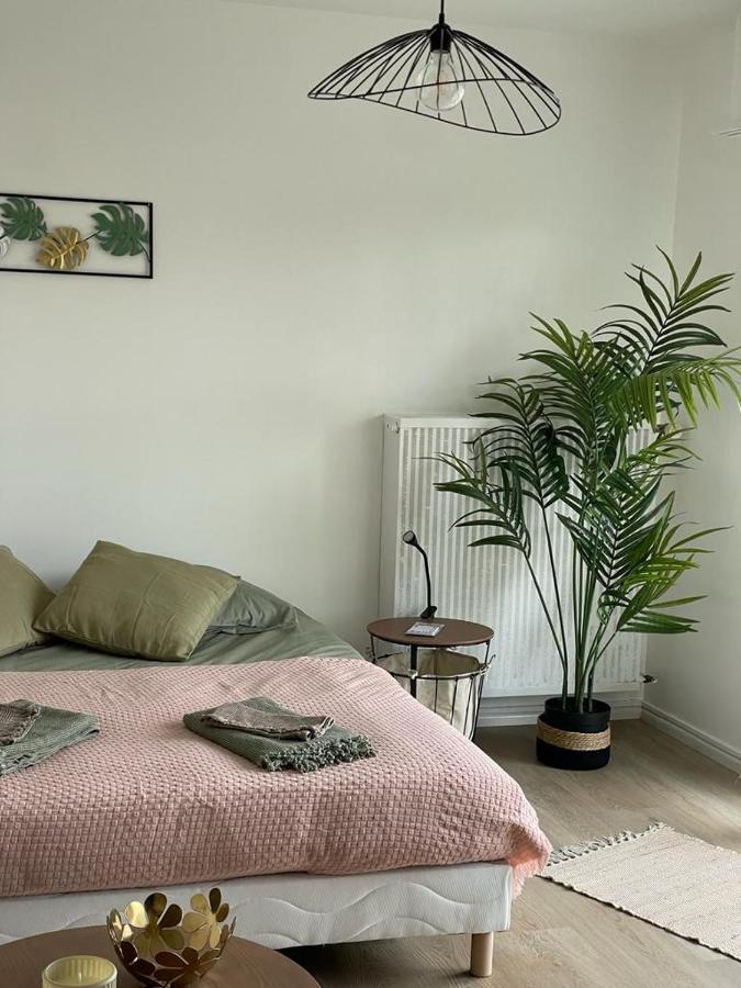 Studio T A 5Mn Euro Airport Avec Terrasse Saint-Louis  Exterior foto